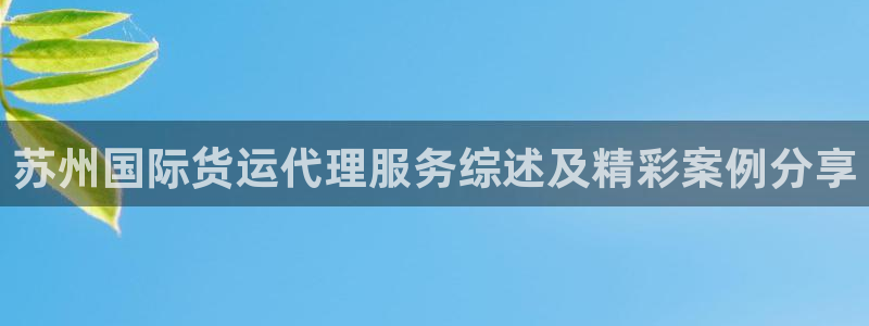 尊龙凯时的企业文化：苏州国际货运代理服务综述及精彩案例分