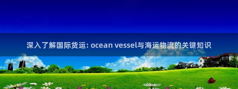 z6尊龙凯时：深入了解国际货运: ocean vesse