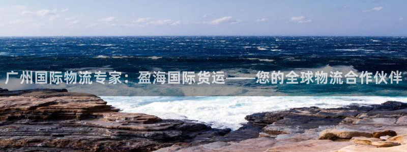 尊龙165：广州国际物流专家：盈海国际货运——您的全球物