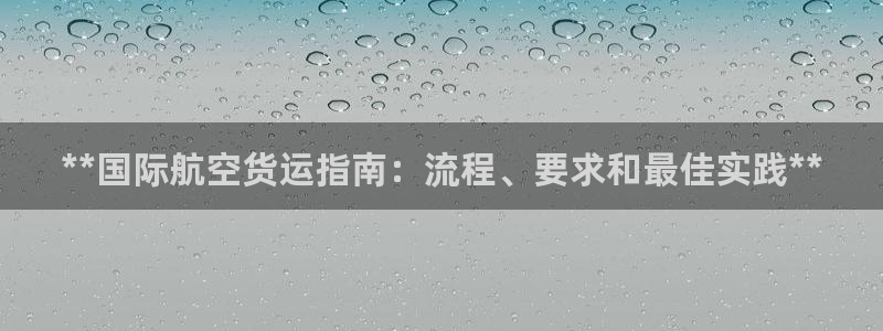 尊龙官网下载：**国际航空货运指南：流程、要求和最佳实践