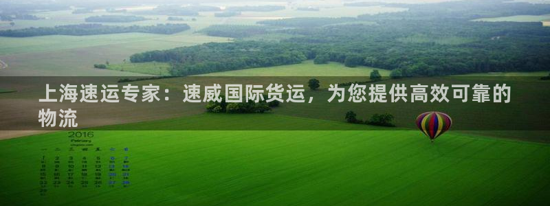 尊龙旗舰app：上海速运专家：速威国际货运，为您提供高效