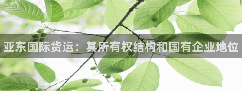 尊龙d88官网登录苹果版下载：亚东国际货运：其所有权结构