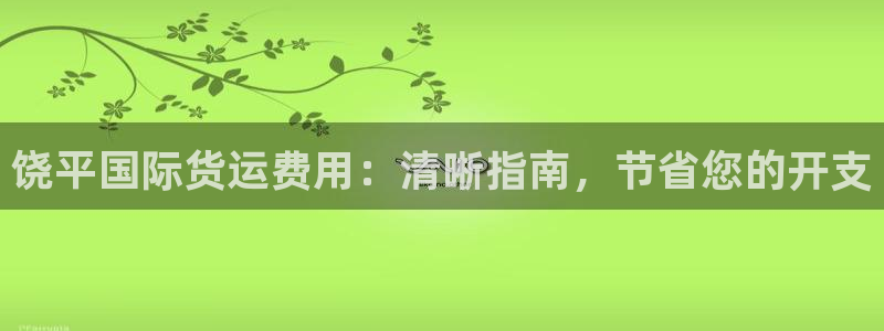 尊龙app登录不了：饶平国际货运费用：清晰指南，节省您的