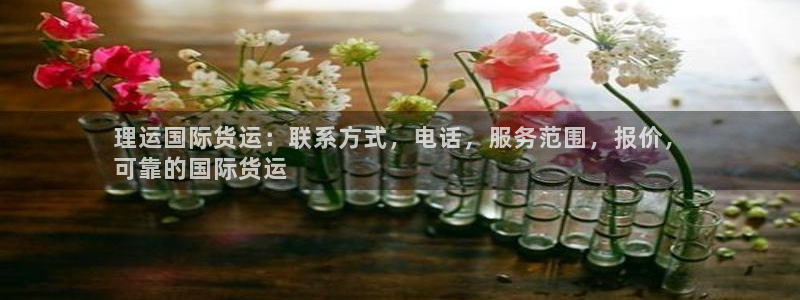 尊龙专访视频：理运国际货运：联系方式，电话，服务范围，报