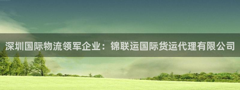 尊龙d88现金关注ag发财网：深圳国际物流领军企业：锦联